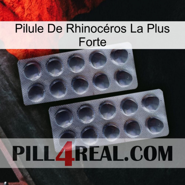 Pilule De Rhinocéros La Plus Forte 31